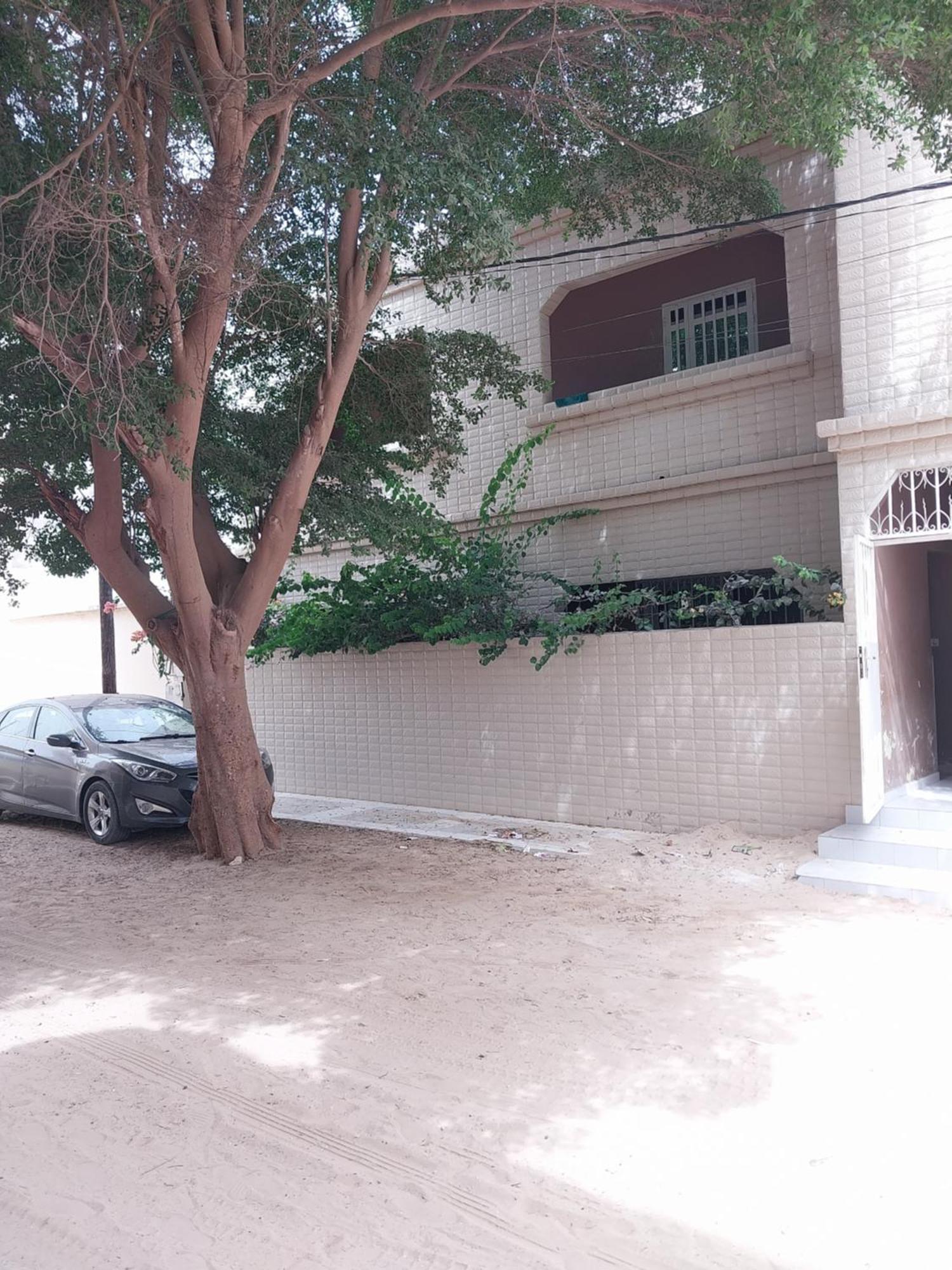 Chez Ousmane Fall Asecna サンルイ エクステリア 写真